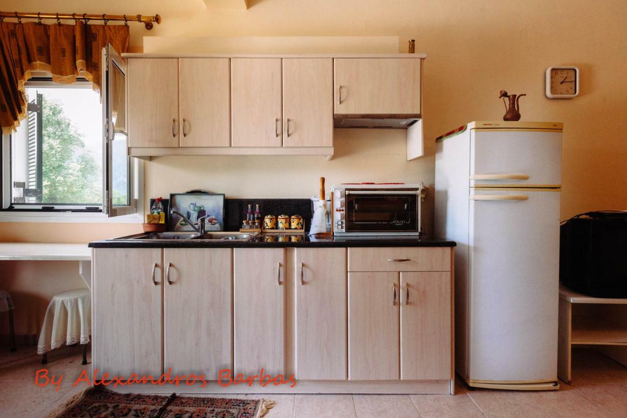 Bourikos House Corfu Apartment Ano Korakiana